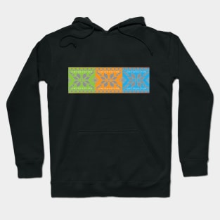 LIMITED EDITION Hoodie